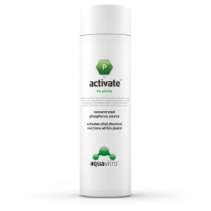 Activate - Aquavitro