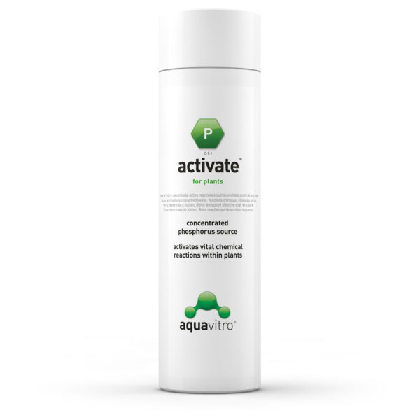 Activate - Aquavitro