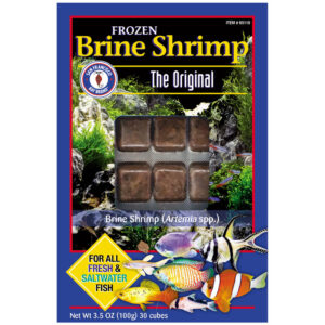 Brine Shrimp