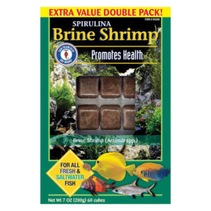 Spirulina Brine Shrimp